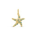 Tide Starfish Charm